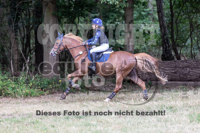 Late-Entry Vielseitigkeit Hamminkeln/Wesel (01.+02.08.2020)