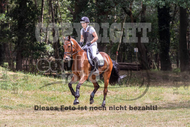 Late-Entry Vielseitigkeit Hamminkeln/Wesel (01.+02.08.2020)