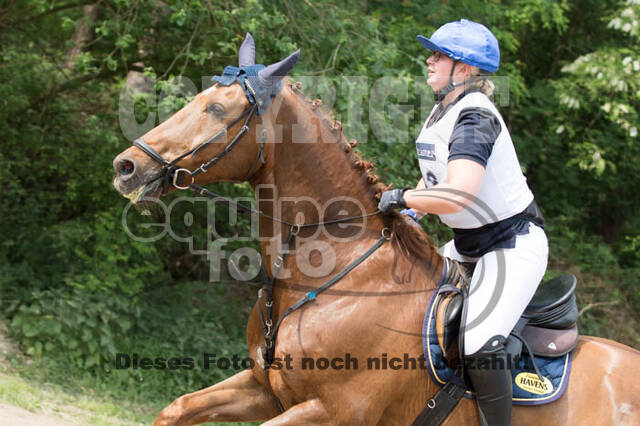Vielseitigkeitsturnier ZRFV von Lützow Hamminkeln