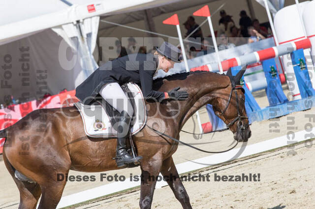 FEI European Championship Eventing 2017