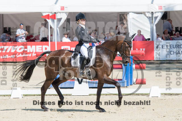 FEI European Championship Eventing 2017