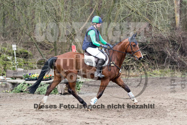 Jungpferdetag Hamminkeln