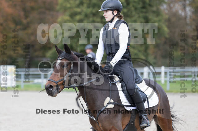 IGV Lehrgang der Sieger der Cups mit Frank Ostholt