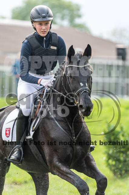 Goldene Schärpe 2020 - Pferde