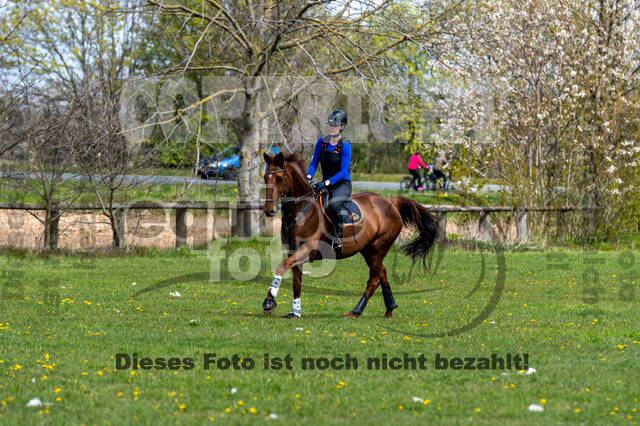Geländetraining ZRFV Hamminkeln (24+25.04.2021)