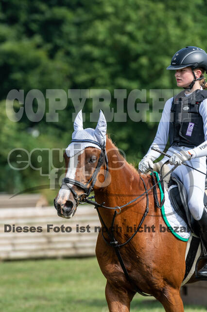 Goldene Schärpe 2021 - Ponys