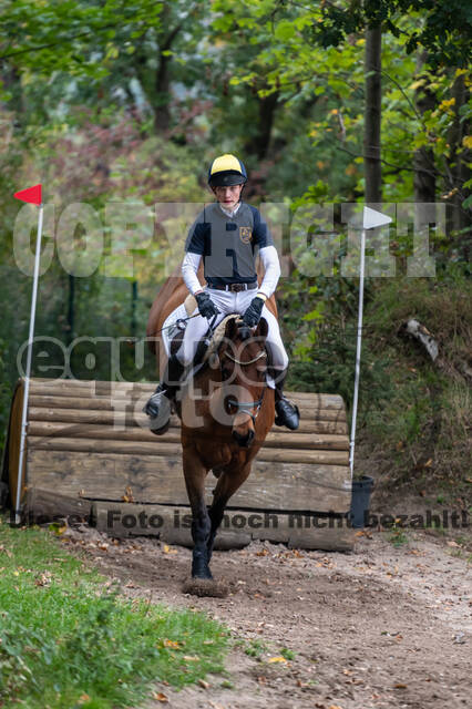 Goldene Schärpe 2020 - Pferde