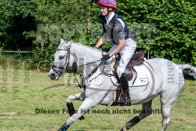Goldene Schärpe 2021 - Ponys