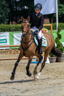 Goldene Schärpe 2021 - Ponys