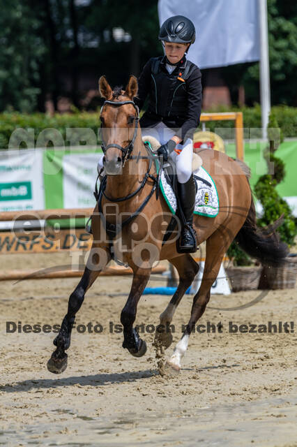 Goldene Schärpe 2021 - Ponys
