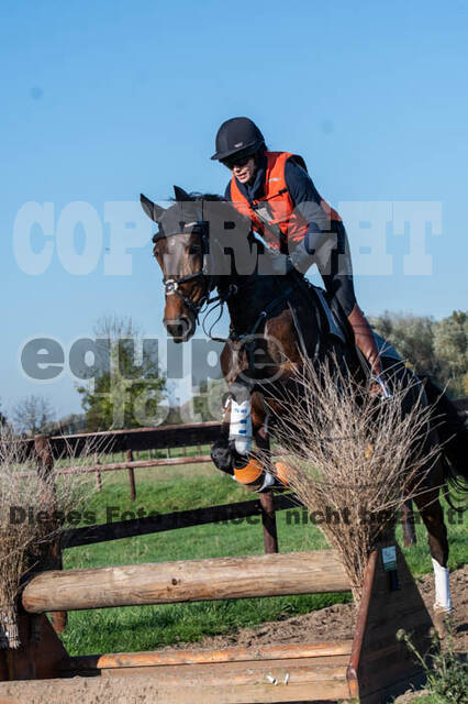 Vielseitigkeitslehrgang mit Jürg Kurbel (9.+10.11.2019)