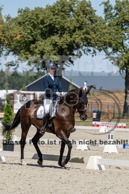 Kronenberg - De Peelbergen (August 2020)