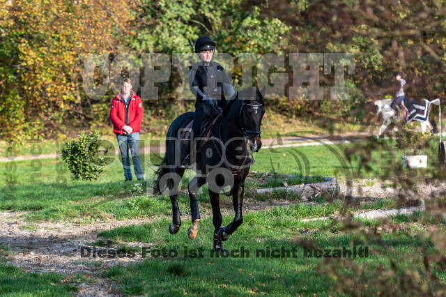 IGV Lehrgang der Sieger der Cups mit Frank Ostholt