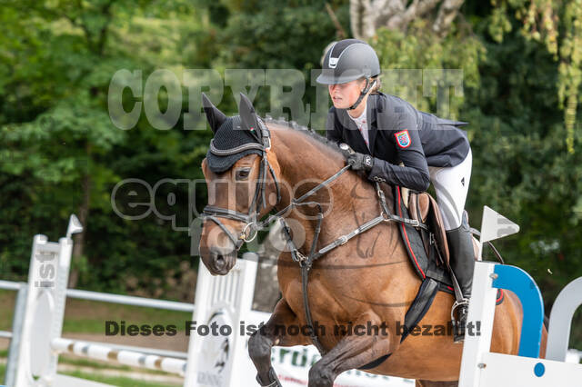 Late-Entry-Vielseitigkeit Langenfeld (06.+07.07.2020)