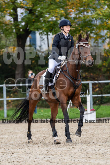 Goldene Schärpe 2020 - Pferde