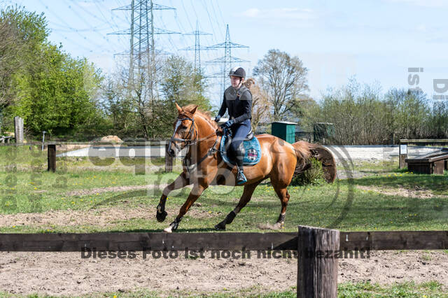 Geländetraining ZRFV Hamminkeln (24+25.04.2021)