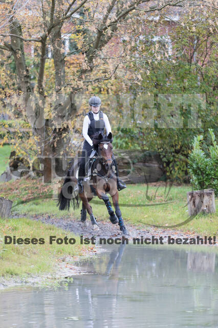 IGV Lehrgang der Sieger der Cups mit Frank Ostholt