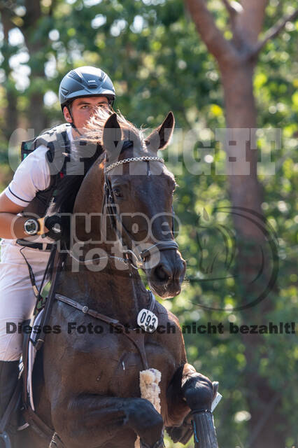 De Peelbergen (August 2020)