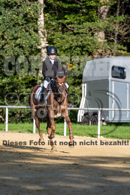 RFV Dinslaken-Hiesfeld (Herbstturnier)