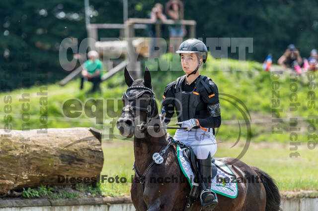 Goldene Schärpe 2021 - Ponys