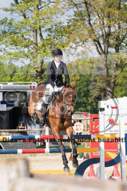 Sterne über Münster 2019 - CCI***S