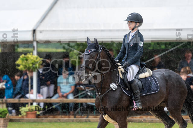 Goldene Schärpe 2021 - Ponys