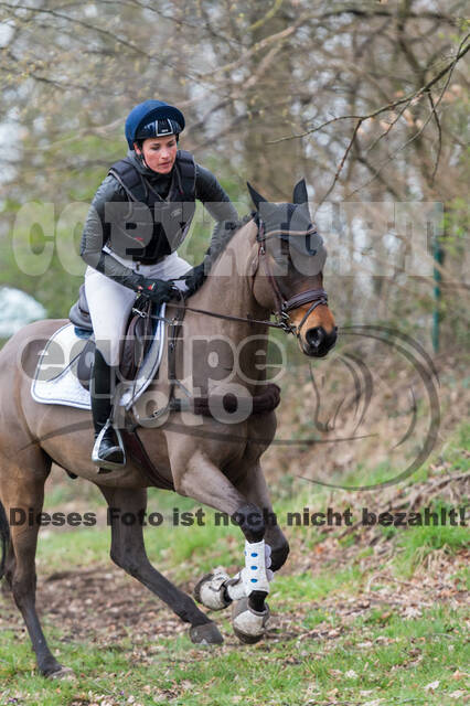 Eventing im Pferdesportzentrum Rheinland (Late Entry 14.03.2022)