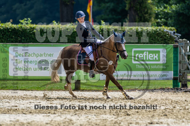 Goldene Schärpe 2021 - Ponys