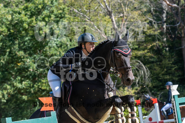 RFV Dinslaken-Hiesfeld (Herbstturnier)
