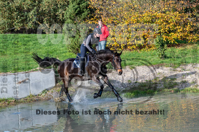 IGV Lehrgang der Sieger der Cups mit Frank Ostholt