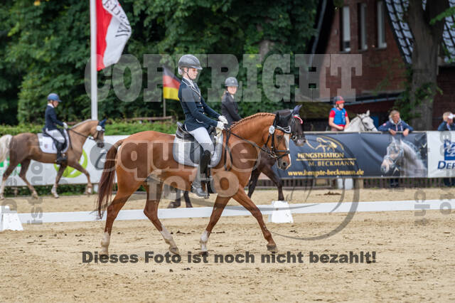 Goldene Schärpe 2021 - Ponys