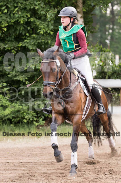 Vielseitigkeitsturnier ZRFV von Lützow Hamminkeln