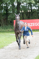 FEI European Championship