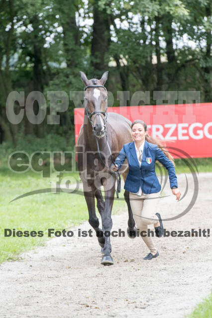 FEI European Championship