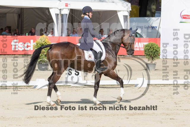 FEI European Championship Eventing 2017