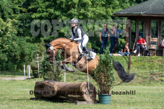 Goldene Schärpe 2021 - Ponys