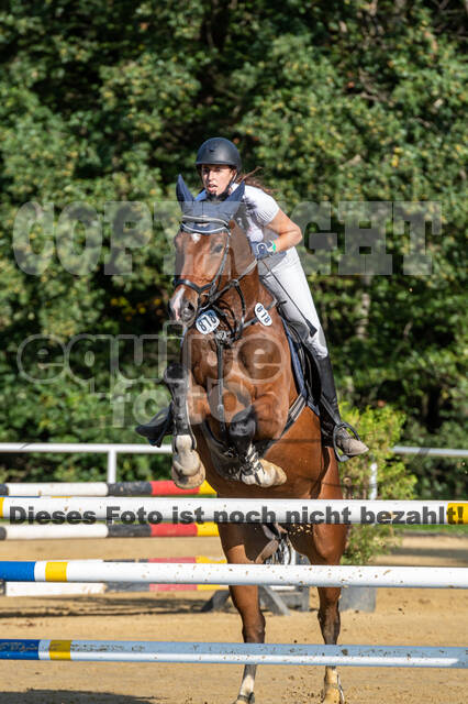 RFV Dinslaken-Hiesfeld (Herbstturnier)