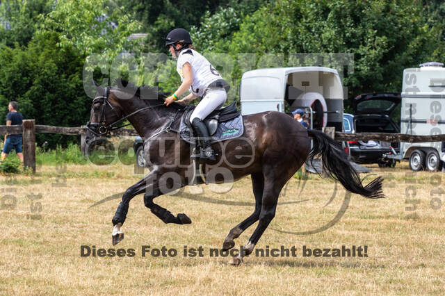 Late-Entry Vielseitigkeit Hamminkeln/Wesel (01.+02.08.2020)