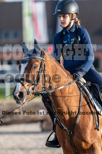 IGV Lehrgang der Sieger der Cups mit Frank Ostholt