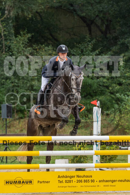 Vielseitigkeit RSV Wesel Obrighoven (26.+27.09.2020)