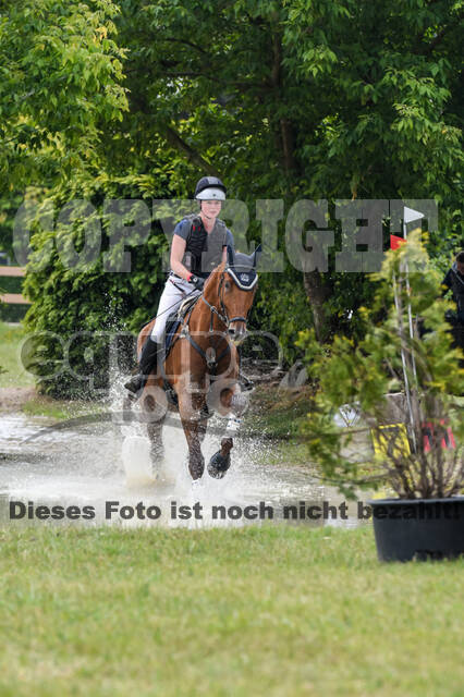 Late-Entry-Vielseitigkeit Langenfeld (11.+13./14.06.2020)