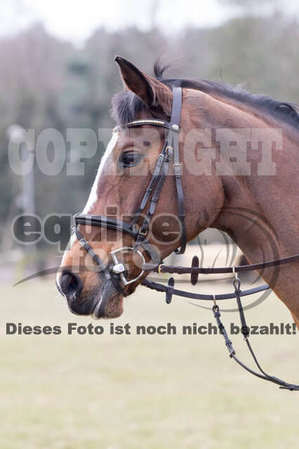 Geländetraining RSV St. Hubertus Wesel Obrighoven