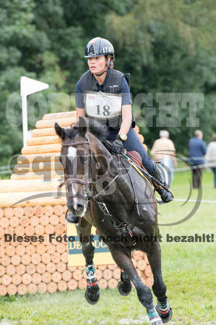 FEI European Championship