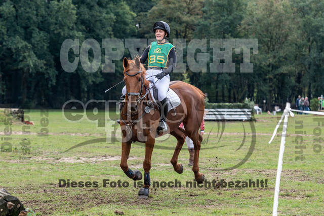 Vielseitigkeit RSV Wesel Obrighoven (26.+27.09.2020)