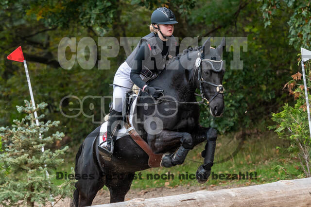 Goldene Schärpe 2020 - Pferde