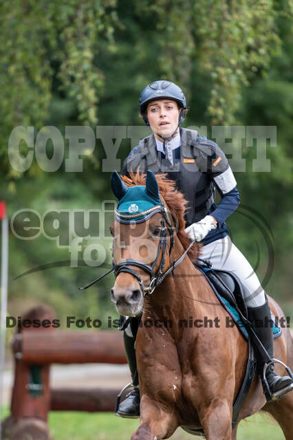 Late-Entry-Vielseitigkeit Langenfeld (11.+13./14.06.2020)