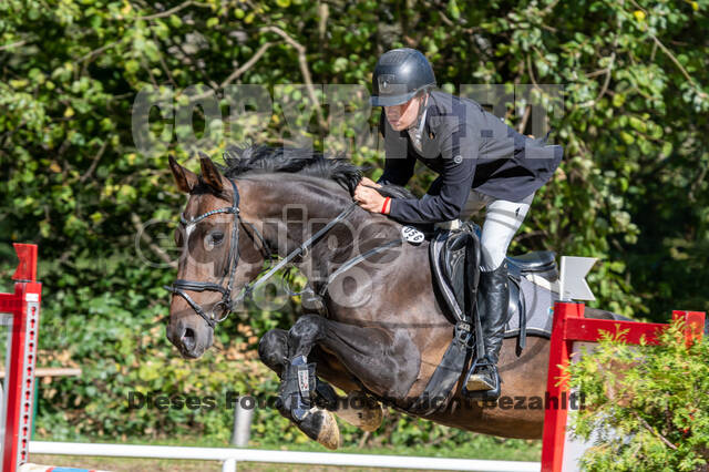 RFV Dinslaken-Hiesfeld (Herbstturnier)