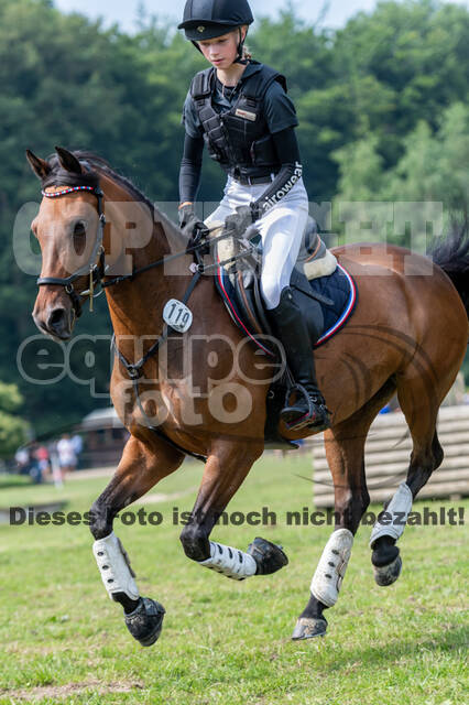 Goldene Schärpe 2021 - Ponys