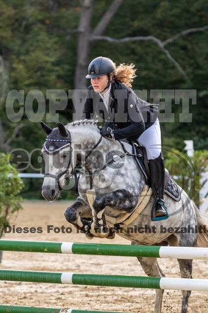 RFV Dinslaken-Hiesfeld (Herbstturnier)