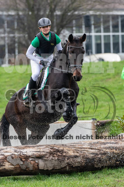 Goldene Schärpe 2020 - Pferde